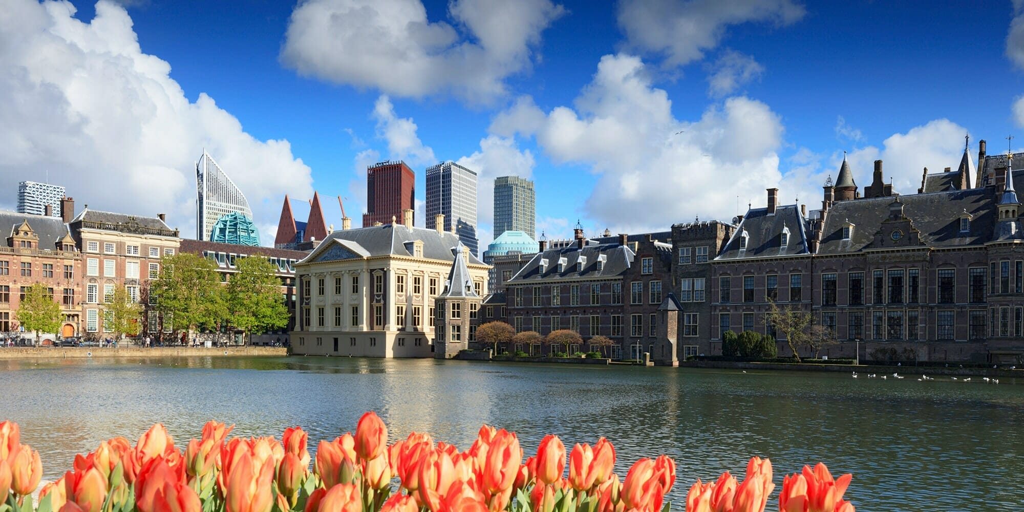 Webdesigner den haag